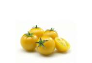 Стар Голд F1 - томат индетерминантный, 250 семян, Esasem Италия фото, цена